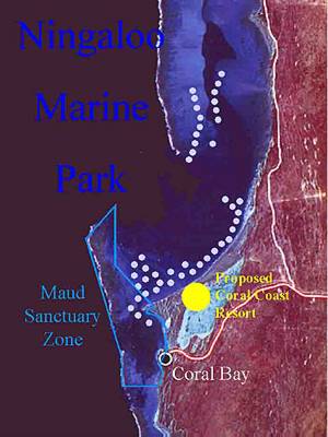 Manta Rays and the resort